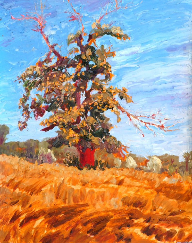 The Blasted Oak, Foret de Sivens. by Gordon Stuart Allen Frickers